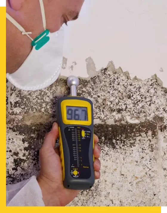 Mold Testing contractor