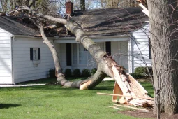 water damage restoration process